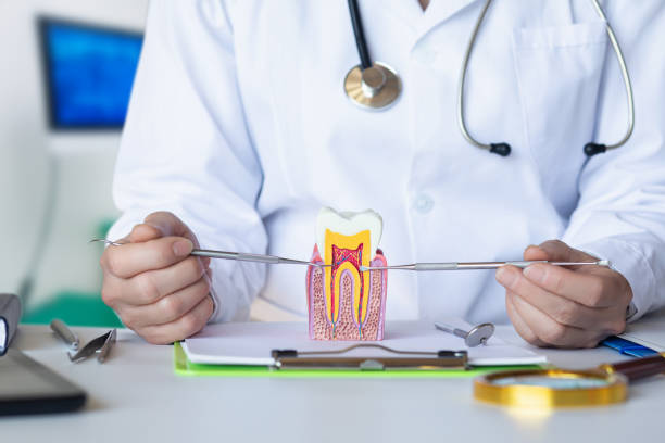 Best Emergency Root Canal Treatment in Warroad, MN
